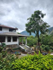 a white house with stairs and a tree at The Villa at Galapitiyaya Estate in Haputale +50 photos