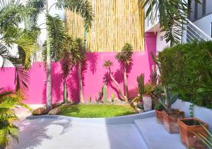 Una pared rosa con palmeras en un patio. en Adults Only Casa Cactus - Stylish Boho Studios with Garden and Pool Access, en Puerto Escondido