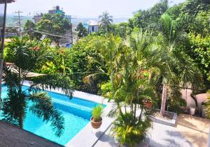 una vista de una piscina con palmeras en Adults Only Casa Cactus - Stylish Boho Studios with Garden and Pool Access, en Puerto Escondido