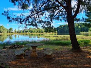 Příroda nedaleko penzionu