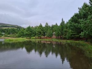 a body of water with trees in the background at Ukutula Resort in Dullstroom