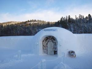 um cão parado dentro de um iglu na neve em Sorrisniva Igloo Hotel em Alta
