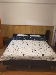 a bedroom with a bed with a comforter with stars on it at Casa Elena camere de Inchiriat in Bucharest