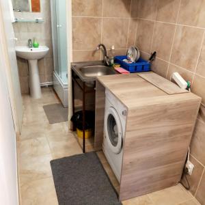a laundry room with a washing machine and a sink at Casa Elena camere de Inchiriat in Bucharest