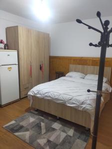 a bedroom with a bed and a refrigerator at Casa Elena camere de Inchiriat in Bucharest