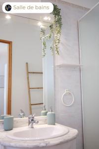 a bathroom with a sink and a mirror at Le Verdon, cozy et authentique in Gréoux-les-Bains