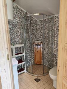 a bathroom with a shower with a toilet in it at Katase Guest House in Katase +24 photos