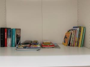 a white shelf with books and other books at Il gatto e la volpe 1 in Collodi