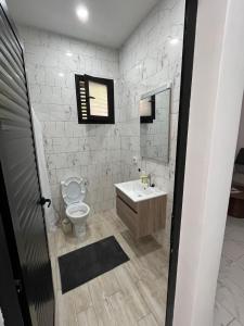a bathroom with a toilet and a sink and a mirror at DjerbaArkouMidoun in Arkou
