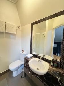 a bathroom with a sink and a toilet and a mirror at Brickworks Heritage Loft in Melbourne