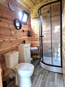 a bathroom with a toilet and a shower at Reset Camp domki wakacyjne in Siecie +60 photos