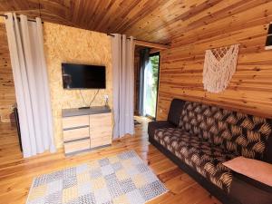 a living room with a couch and a flat screen tv at Reset Camp domki wakacyjne in Siecie