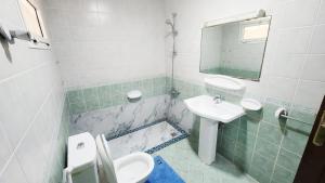 a bathroom with a sink and a toilet and a mirror at Family Room in Abu Dhabi