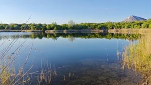 uitzicht op een meer met bomen op de achtergrond bij Ferienwohnungen in Röblingen 