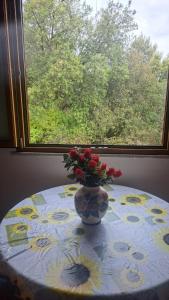 Fotografie z fotogalerie ubytování Villetta SCORDALINNA v destinaci Villasimius + 1 fotografie