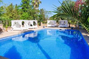 a swimming pool with white chairs and a palm tree at FALCO , Apartment auf Finca Zenara, Terrasse, XXL-Pool, Küche, AC, WIFI, Yoga in Manacor +11 photos