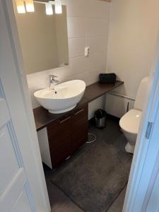 a bathroom with a sink and a toilet at Villa Hile - 8 hengen mökki, rauhallinen sijainti Himoksen ytimessä in Jämsä +17 photos