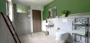 a bathroom with a shower and a toilet and a sink at Ferienwohnung mit Blick auf die Moselloreley in Piesport +9 photos