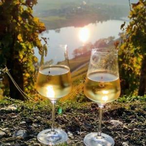 dos copas de vino blanco frente a un lago en Ferienwohnung mit Blick auf die Moselloreley, en Piesport