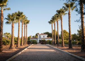 a row of palm trees in front of a house at La casa Zamora in Totana