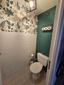 a bathroom with a toilet and a green wall at Appartement 1-4 personnes, Résidence "Le Belouga" in Le Mont-Dore