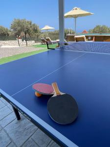 Gallery image of Violetta - Nature's Palace with private pool & view in Giannoudi