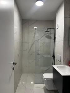 a bathroom with a shower and a toilet and a sink at Blush Studio at Rose in Prishtinë +8 photos