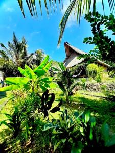 Gallery image of JEJU Cottages in Kuta Lombok