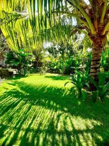 Gallery image of JEJU Cottages in Kuta Lombok
