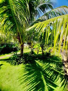 Gallery image of JEJU Cottages in Kuta Lombok