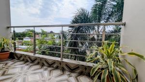 a balcony with potted plants and palm trees at Hotel Sakshi Palace in Rewa