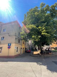 Το κτήριο όπου στεγάζεται  ο ξενώνας +5 φωτογραφίες