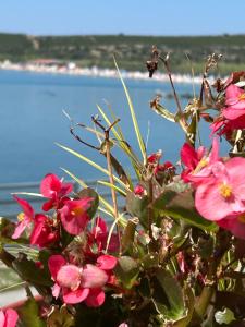 Gallery image of BEACH HOUSE CASKA in Novalja