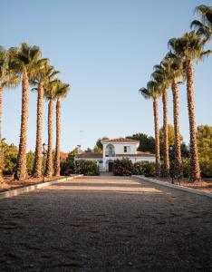 Fotografie z fotogalerie ubytování Apartment La casa Zamora v destinaci Totana
