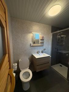 a bathroom with a toilet and a sink and a shower at Finse Kota met privé Sauna en Hottub in Spanbroek +25 photos