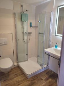 a bathroom with a shower and a toilet and a sink at Hotel Seeterrassen in Laboe