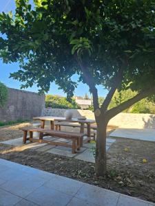 Imagine din galeria proprietății Tiny Cottage lemon & pies în Nafpaktos