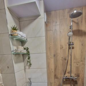 een badkamer met een douche met een douchekop bij Апартамент Дар in Belogradchik