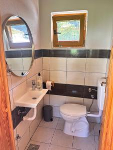 Ένα μπάνιο στο Oaza Vrbas - Riverside Bungalow near Jajce +31 φωτογραφίες