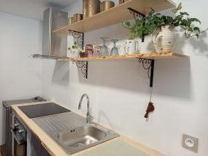 a kitchen with a sink and a shelf with plants at Au Mont Chablis in Champagnole