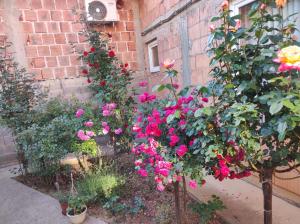 Afbeelding uit fotogalerij van Blazuj House 2 Bedrooms in Osenjače