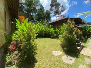 a garden with bushes and trees in front of a house at Kamanaya Ubud in Ubud +3 photos