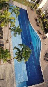 an overhead view of a swimming pool with palm trees at COP 30 Apartamento Luxo - 3 Quartos, Piscina, Academia, Area de Lazer in Belém