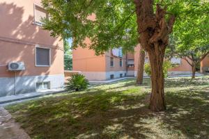 a tree in a yard next to a building at Vintage al passetto - Ancona Centro in Ancona