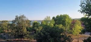 an overhead view of trees and a lake at Studio Tabacariei 5A in Tăbăcărie