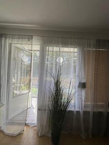a window with white curtains and a plant in a room at Färösund Sommar in Fårösund