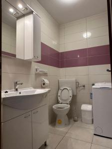 a bathroom with a sink and a toilet at Apartman 3 Majba in Zaglavice +2 photos