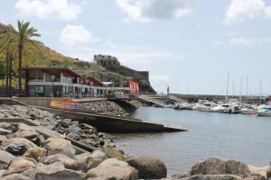 a body of water with boats in a harbor at Cozy and Bright Apartment in Machico