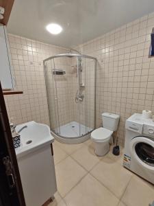 a bathroom with a shower and a toilet and a sink at Qusarion - ქუსარიონი in Agara