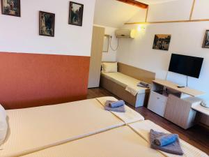 Fotografie z fotogalerie ubytování Vila Alga v destinaci Sulina